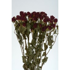 ROSE SPRAY  22" Red-  SALE !!!